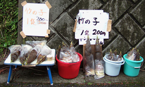 blog_pic1386.jpg