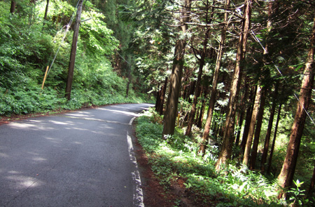 blog_pic1387.jpg