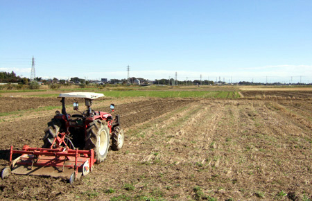 blog_pic2374.JPG