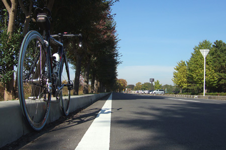 blog_pic2380.JPG