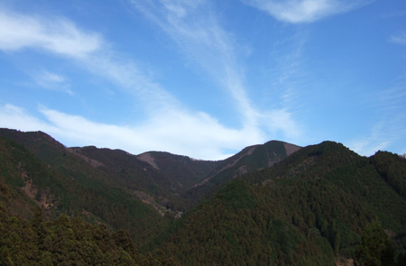 blog_pic2511.JPG