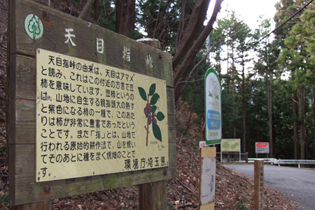 blog_pic2513.JPG