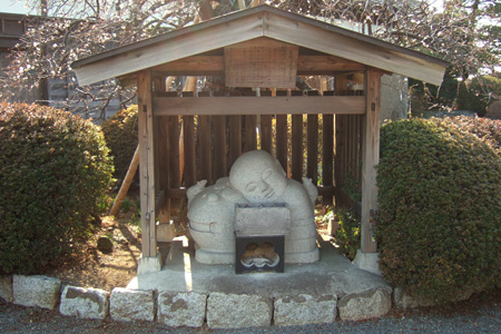blog_pic2588.JPG