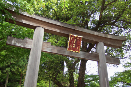 blog_pic2688.JPG