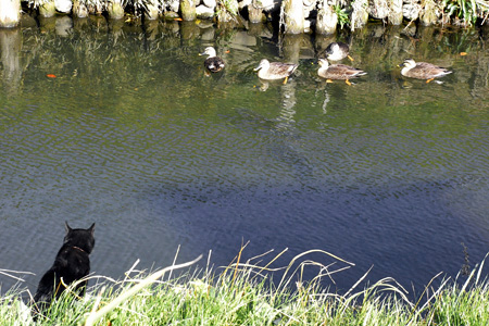 blog_pic3207.JPG