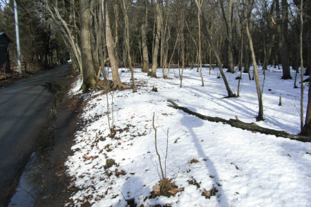blog_pic3312.JPG