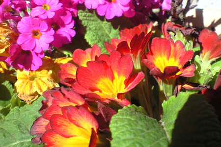 blog_pic3412.JPG