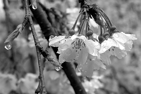 blog_pic3438.JPG