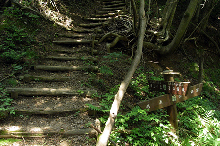 blog_pic3676.jpg