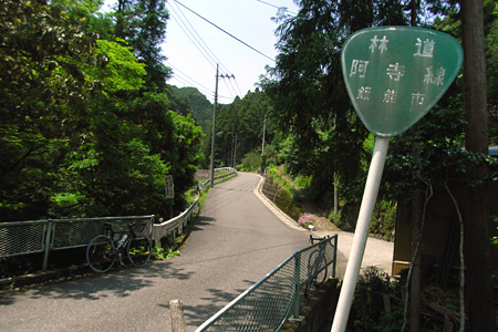 blog_pic3678.jpg