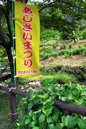 blog_pic3679.jpg