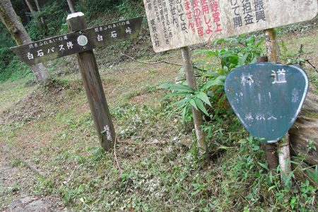 blog_pic3783.jpg
