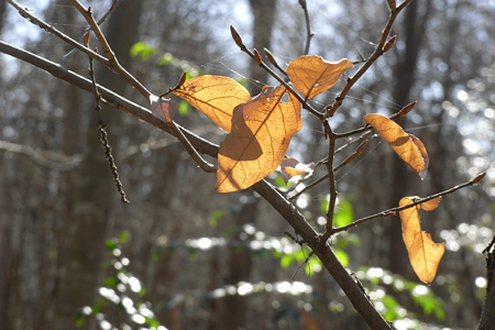 blog_pic4064.jpg