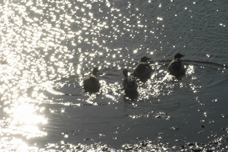 blog_pic4067.jpg