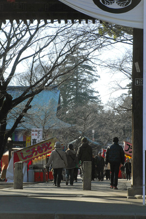 blog_pic4130.jpg