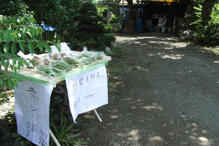 blog_pic4713.jpg