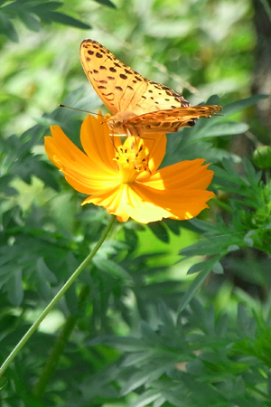 blog_pic4955.jpg