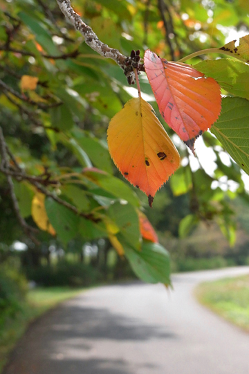 blog_pic5051.jpg