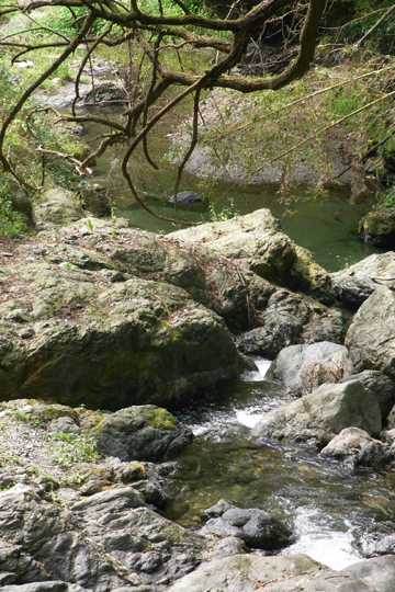 blog_pic5067.jpg