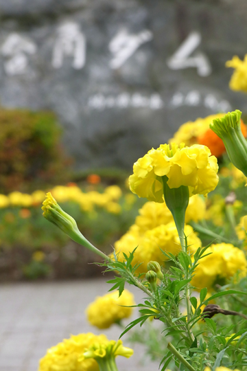 blog_pic5069.jpg