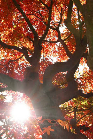 blog_pic5288.JPG
