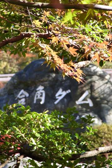 blog_pic5289.JPG