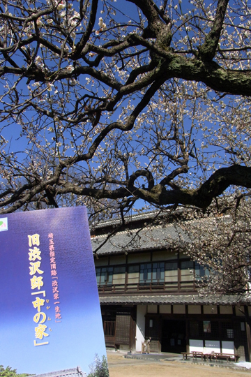 blog_pic5633.JPG
