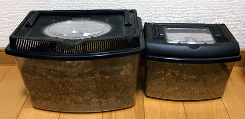 blog_pic5843.JPG