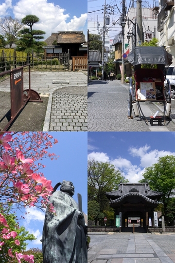 blog_pic5877.jpg