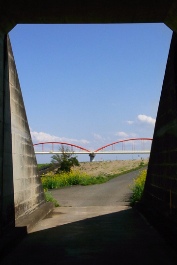 blog_pic5883.jpg
