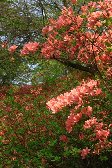 blog_pic5902.jpg
