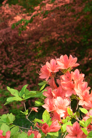 blog_pic5903.jpg