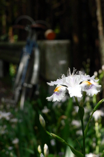 blog_pic5933.jpg