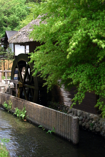 blog_pic5935.jpg