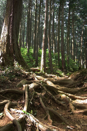 blog_pic5954.jpg