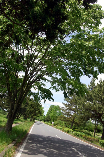 blog_pic5962.jpg