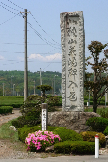 blog_pic5970.jpg