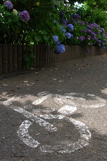 blog_pic6095.jpg