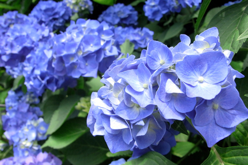 blog_pic6099.jpg