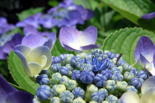 blog_pic6100.jpg