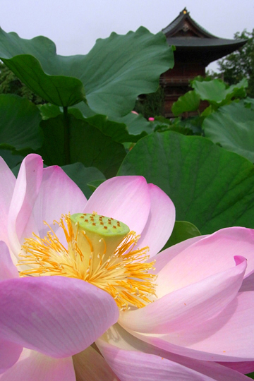 blog_pic6136.jpg