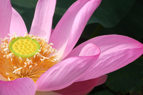 blog_pic6139.jpg