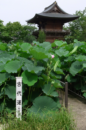 blog_pic6140.jpg