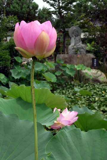 blog_pic6141.jpg