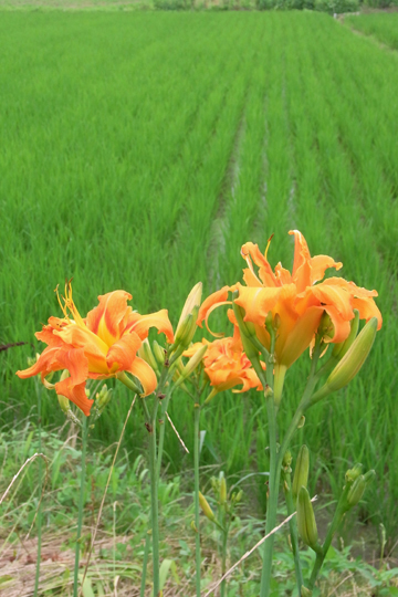 blog_pic6148.jpg
