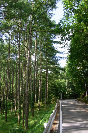 blog_pic6221.jpg