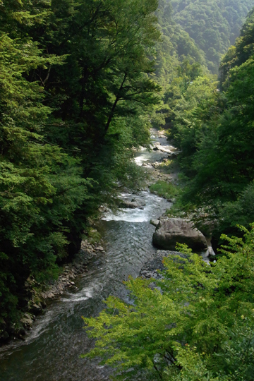 blog_pic6224.jpg