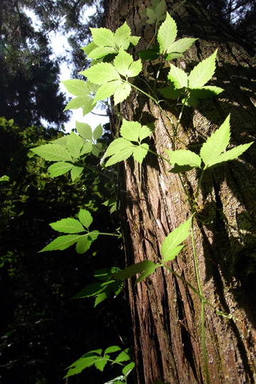 blog_pic6230.jpg