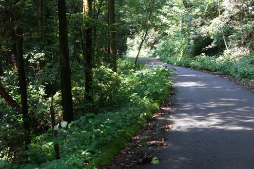 blog_pic6231.jpg
