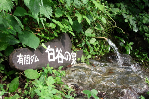 blog_pic6244.jpg